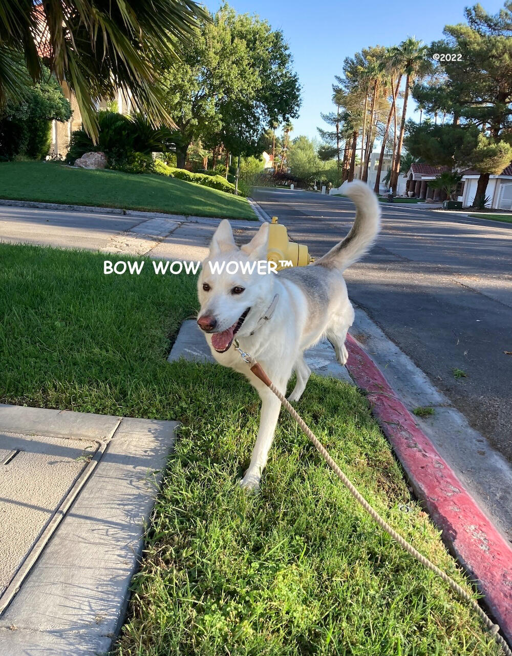Yowza!