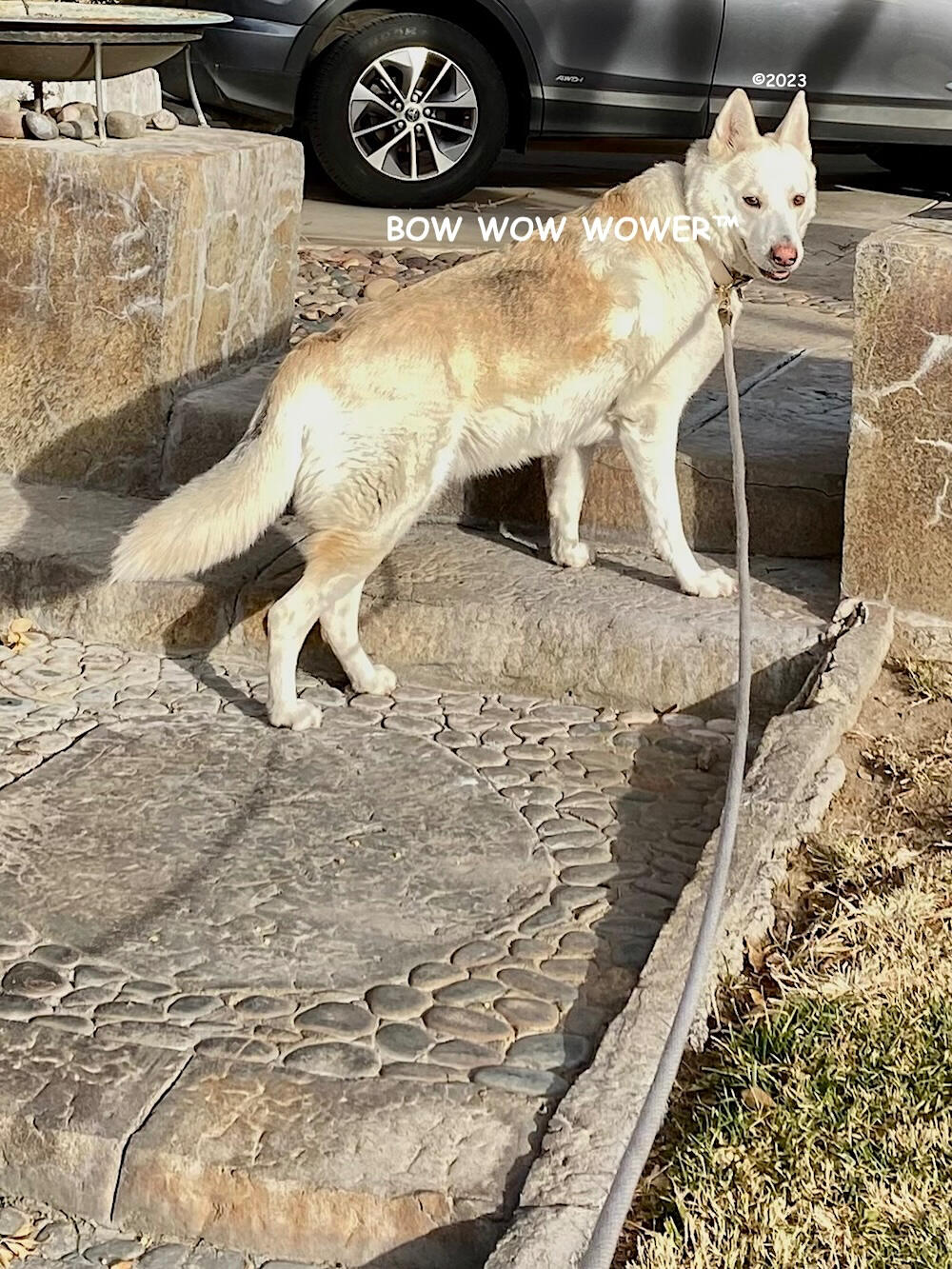 Check Me Out!