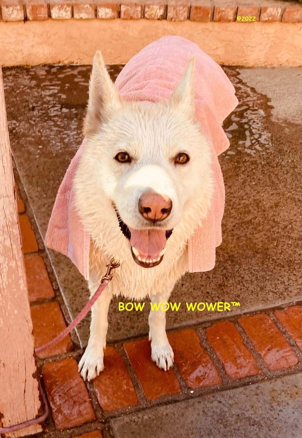 I'm Magical!